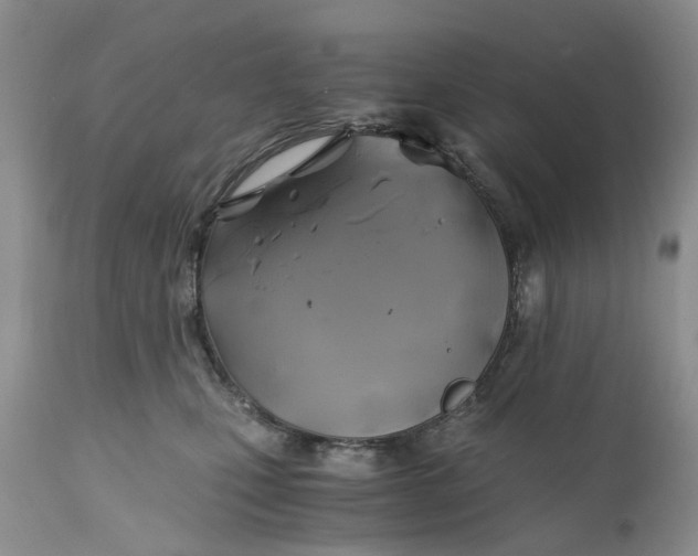 X0000111030471200907091549