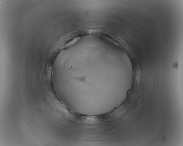X0000111030475200907091549