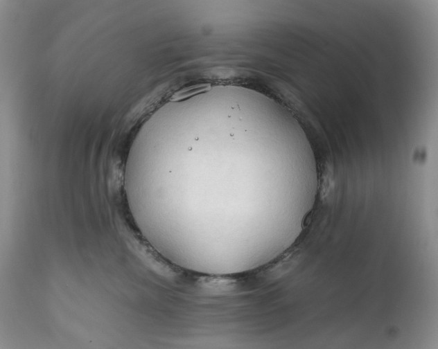 X0000111030476200907091549