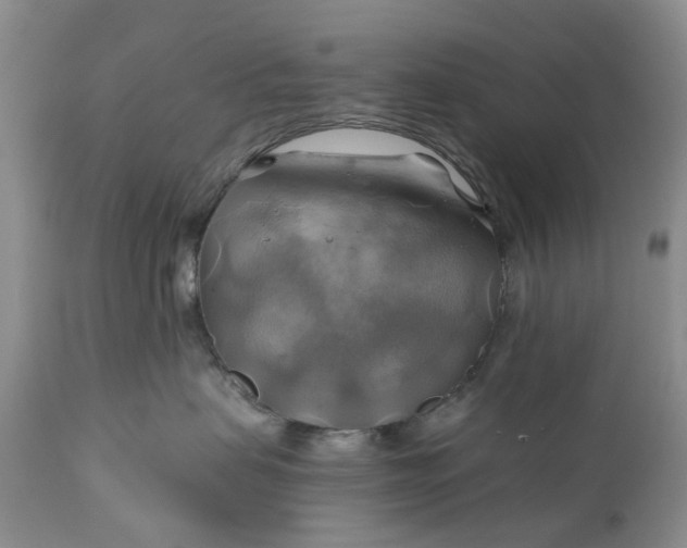 X0000111030479200907091549