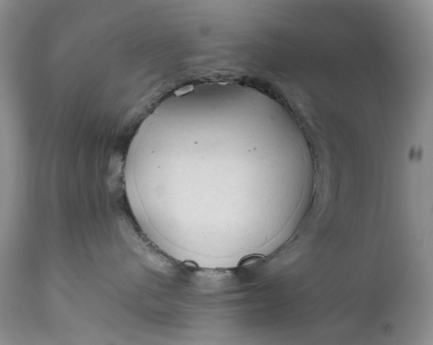 X0000111030480200907091549