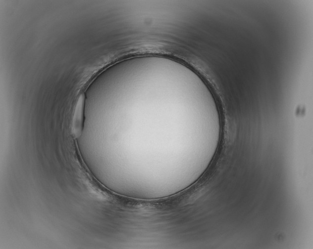 X0000111030481200907091548