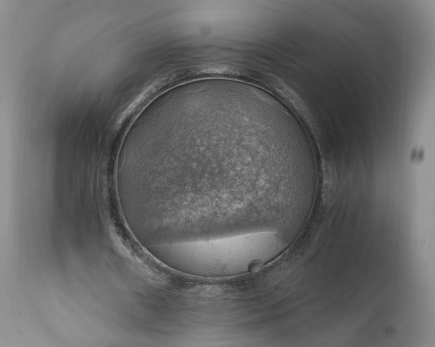 X0000111030482200907091548