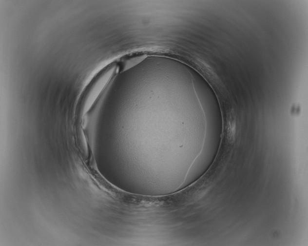 X0000111030484200907091548