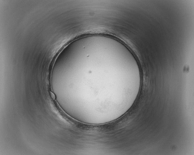 X0000111030485200907091548