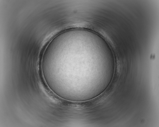 X0000111030486200907091548