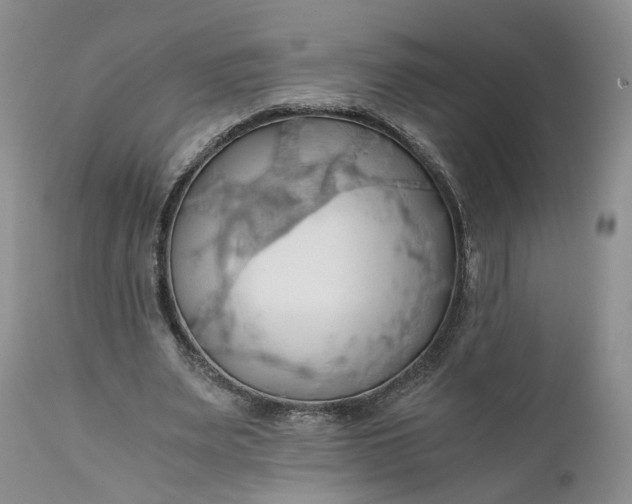 X0000111030487200907091548