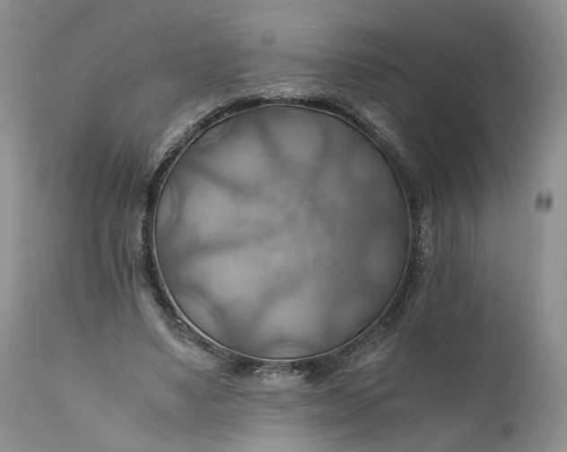 X0000111030491200907091548
