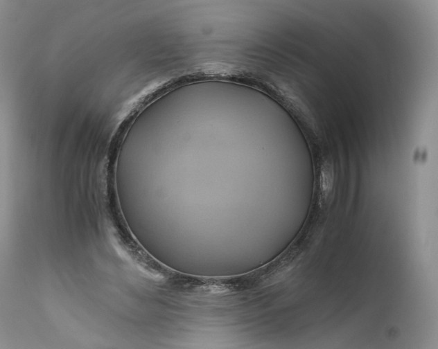 X0000111030492200907091548