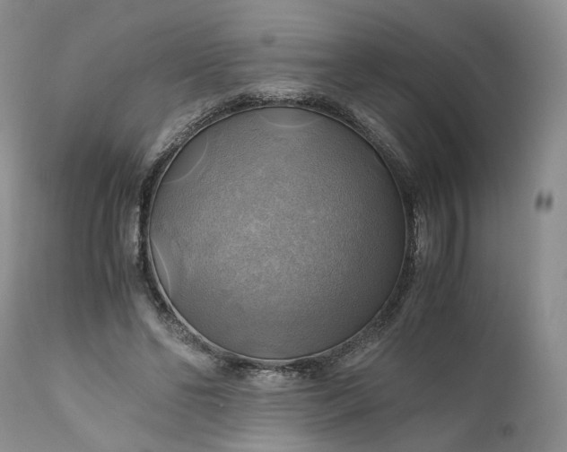 X0000111030494200907091548