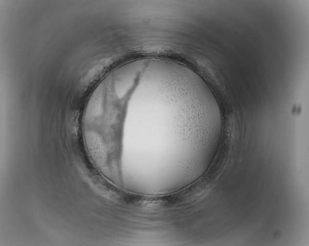 X0000111030495200907091548