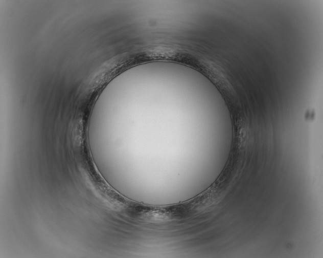 X0000111030498200907091548