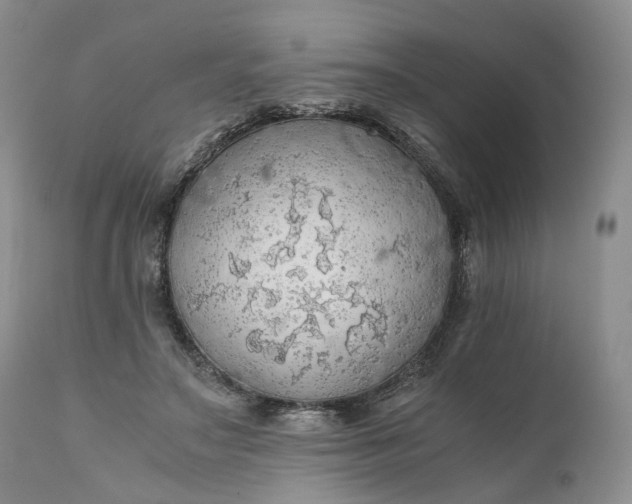 X0000111030499200907091548