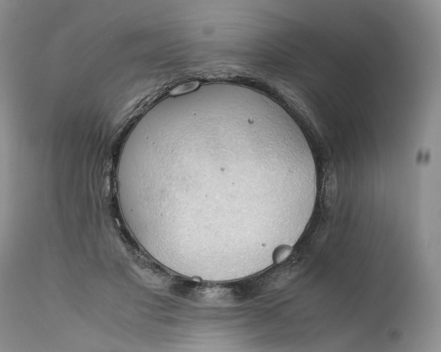 X0000111030501200907091548