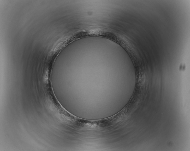 X0000111030502200907091548