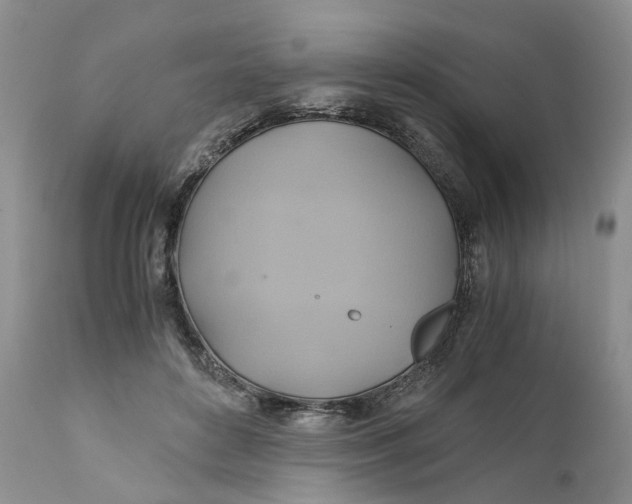 X0000111030504200907091548