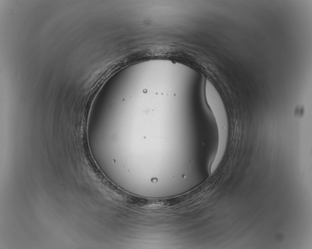 X0000111030505200907091548