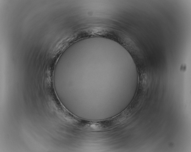X0000111030506200907091548