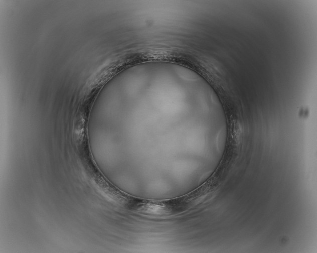 X0000111030507200907091548