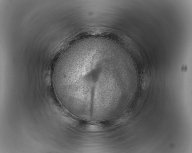 X0000111030510200907091548