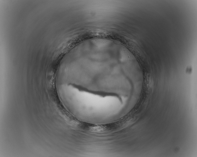 X0000111030511200907091548