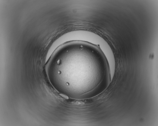 X0000111030512200907091548