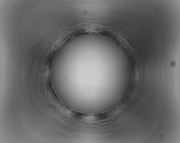 X0000111030513200907091548