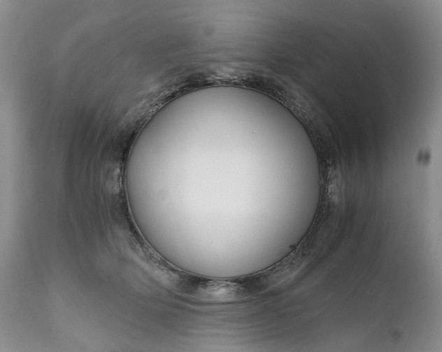 X0000111030514200907091548