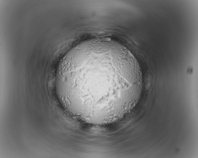 X0000111030515200907091548