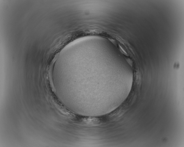 X0000111030517200907091548
