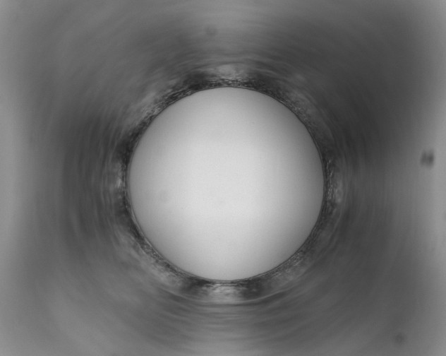 X0000111030518200907091548