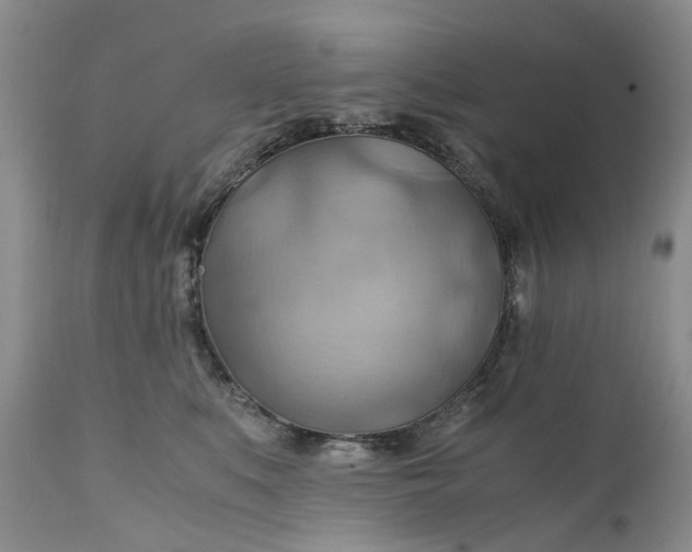 X0000111030519200907091548