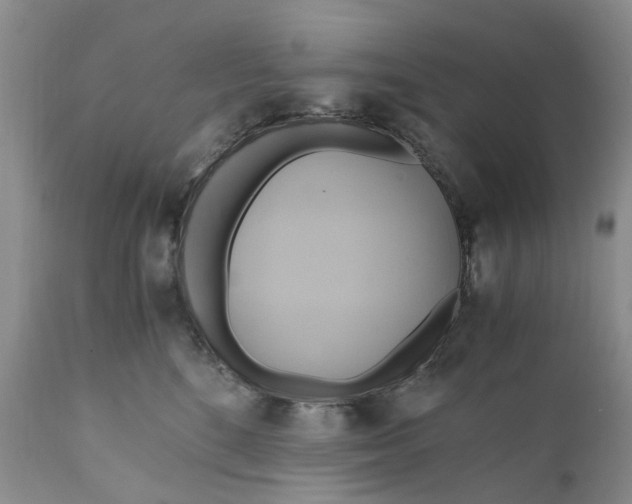 X0000111030520200907091548