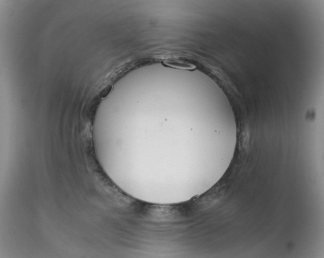 X0000111030521200907091548