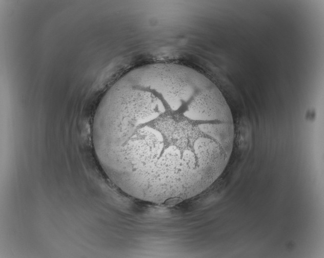 X0000111030523200907091548