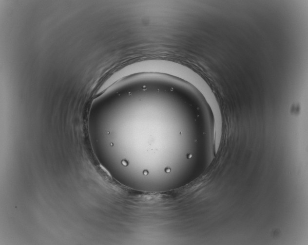 X0000111030524200907091548