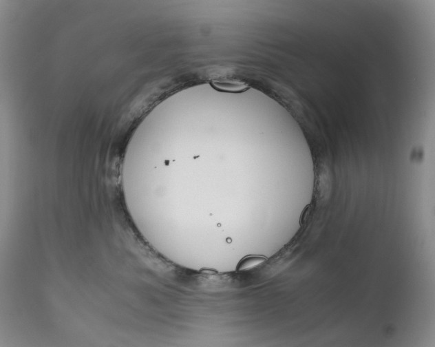 X0000111030525200907091548