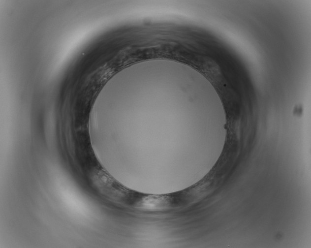 X0000111030526200907091548