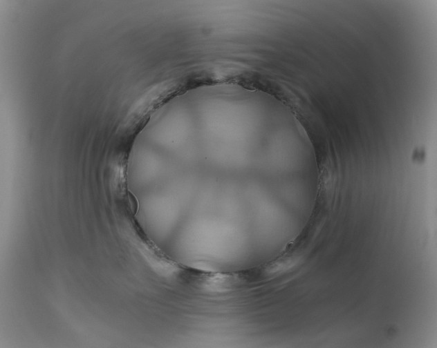 X0000111030527200907091548