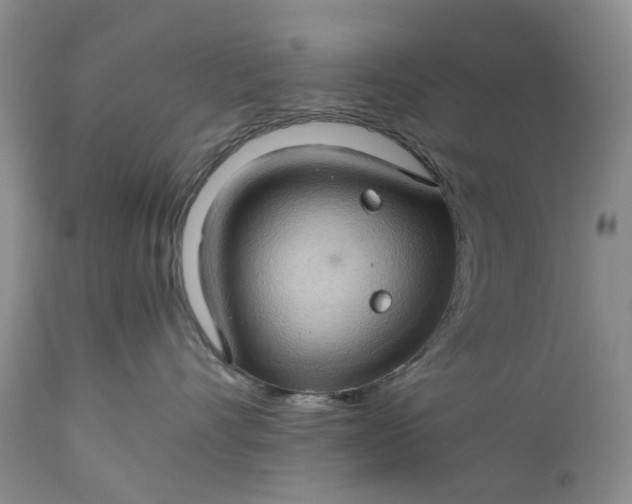 X0000111030528200907091548