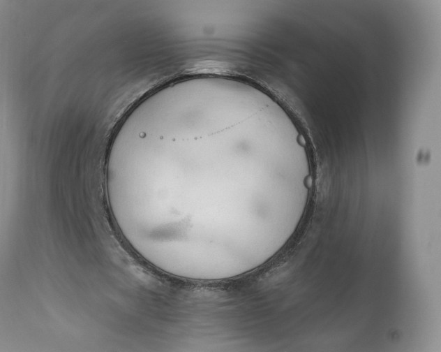 X0000111030529200907091547
