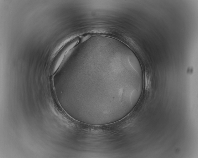 X0000111030531200907091547