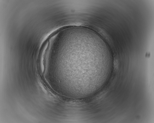 X0000111030532200907091547