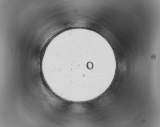 X0000111030534200907091547