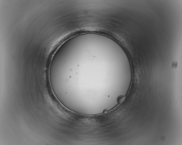 X0000111030535200907091547