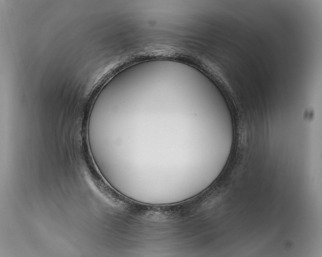 X0000111030538200907091547