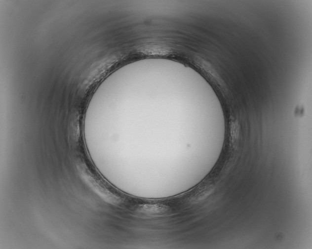 X0000111030541200907091547