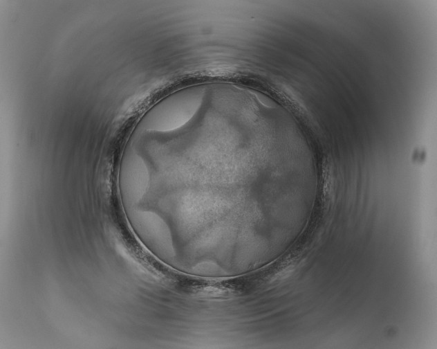 X0000111030542200907091547