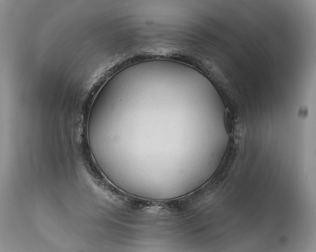 X0000111030544200907091547