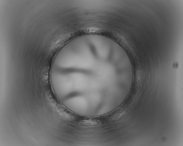 X0000111030545200907091547